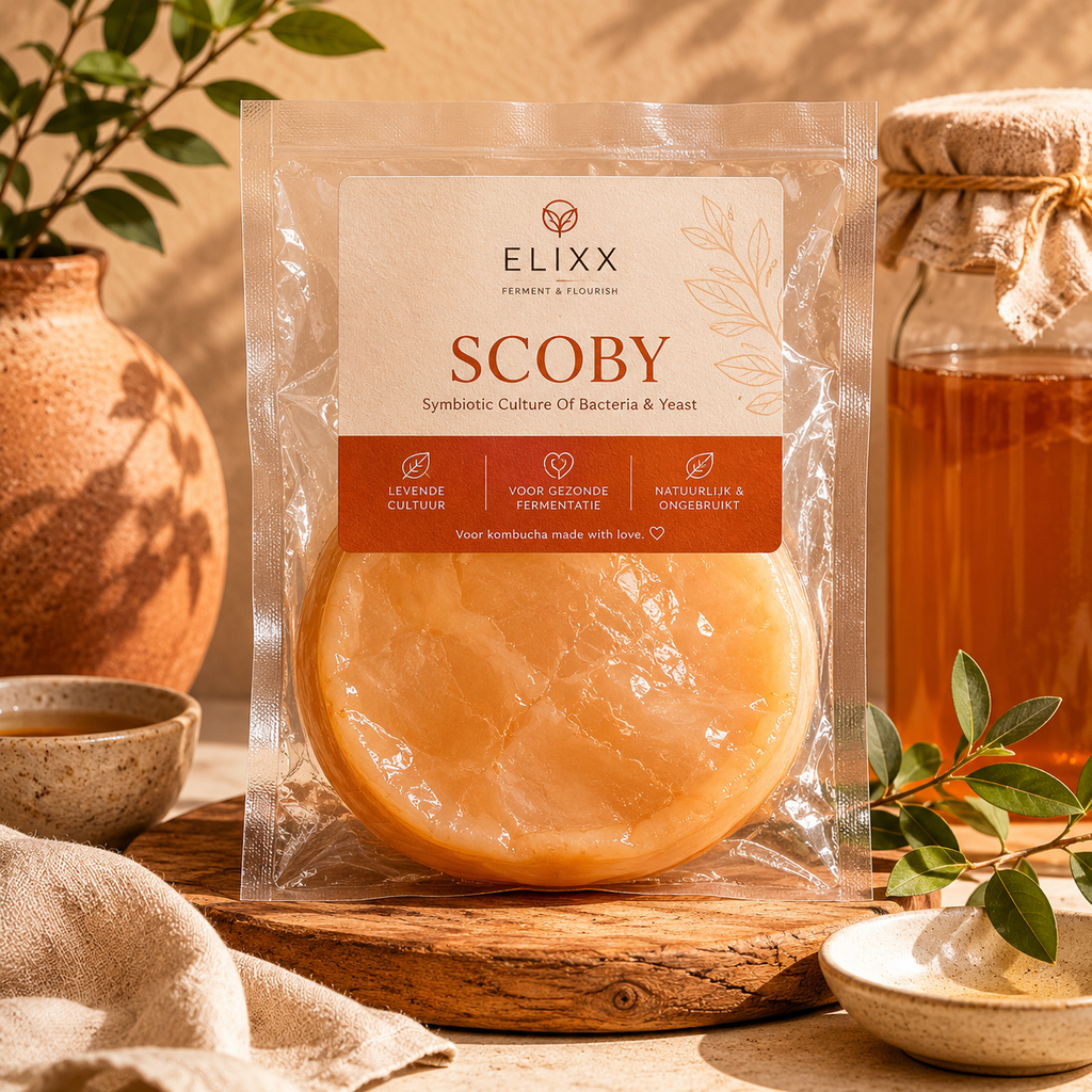 Scoby Biologisch - Voor Kombucha