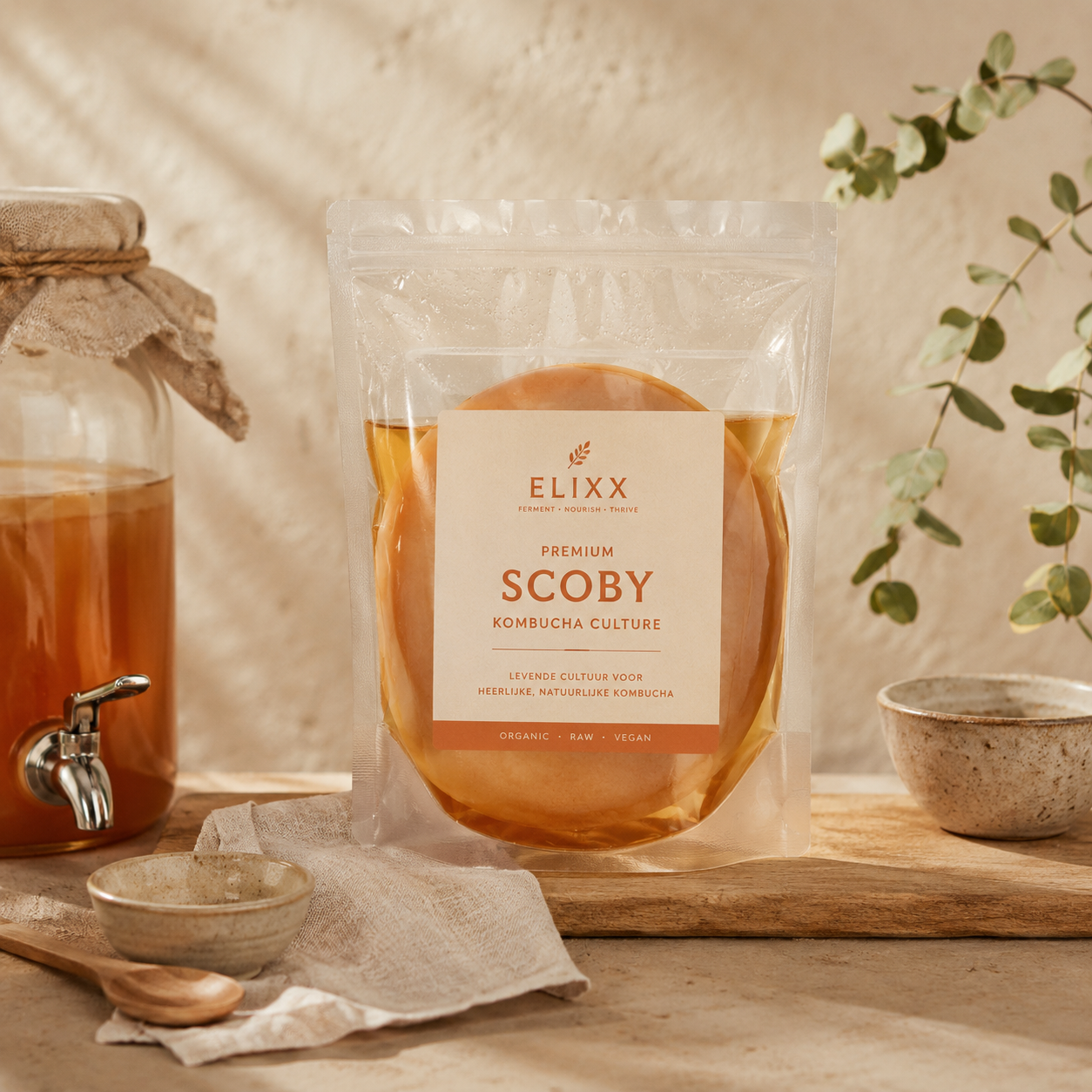 Scoby Biologisch - Voor Kombucha