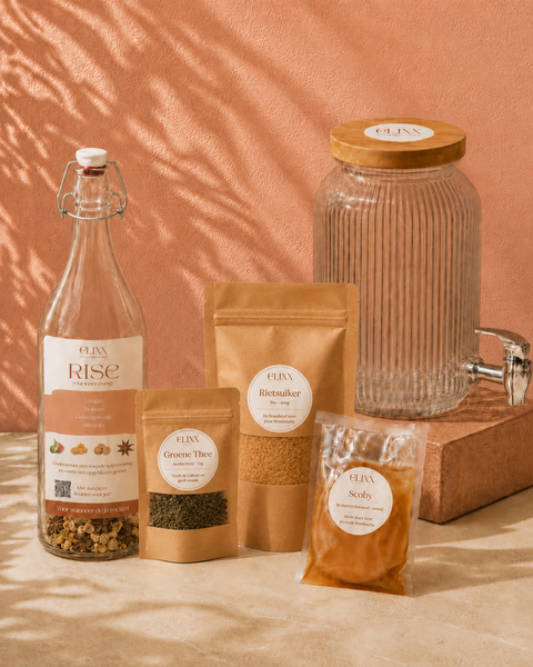 Kombucha starterpakket Rise