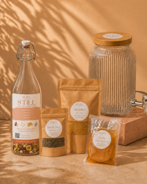 Kombucha starterpakket Still