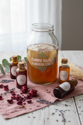 Kombucha starterpakket - Bloom