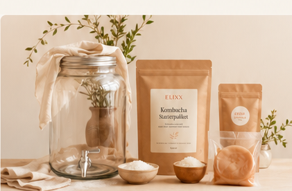 Kombucha Starterpakket